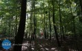 Mierzą lasy prywatne i państwowe