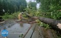 Ponad 200 zgłoszeń po nawałnicy