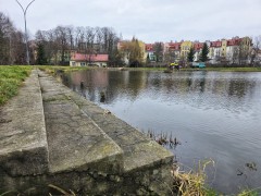 Rewitalizacja stawu za ponad 9 milionów złotych