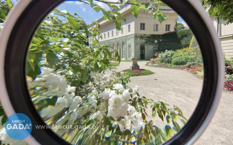 Muzeum - Zamek w&nbsp;Łańcucie zaprasza na letnie zajęcia dla dzieci