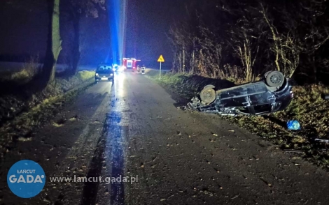 18-latka chciała ominąć truchło kota, dachowała